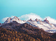 米兰体育官方网站：让激情每天在线绽放